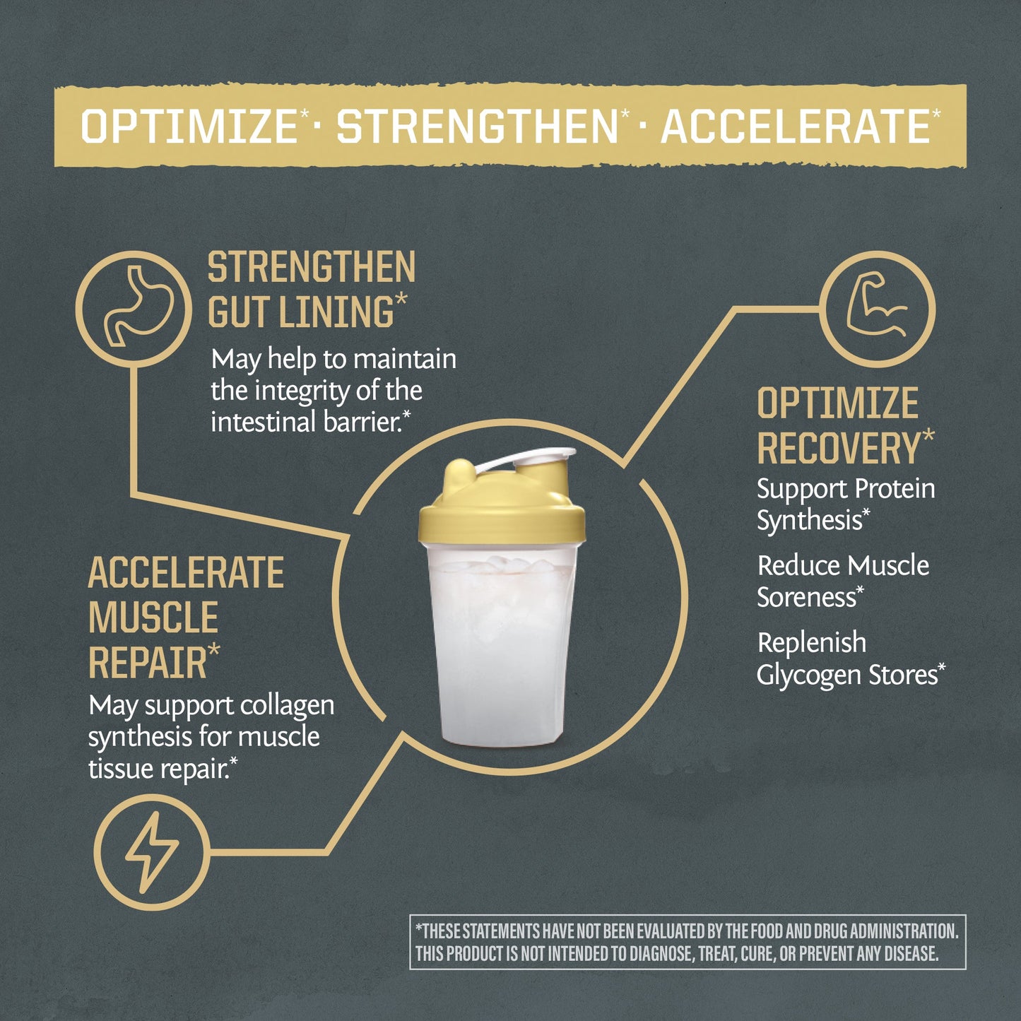 Active Glutamine - SUNWARRIOR