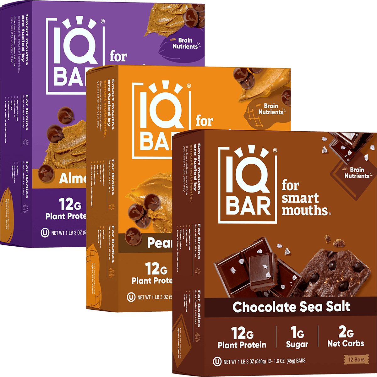Chocolate Lovers Bundle (36 Bars) - IQ Bar - The Track and Field Store