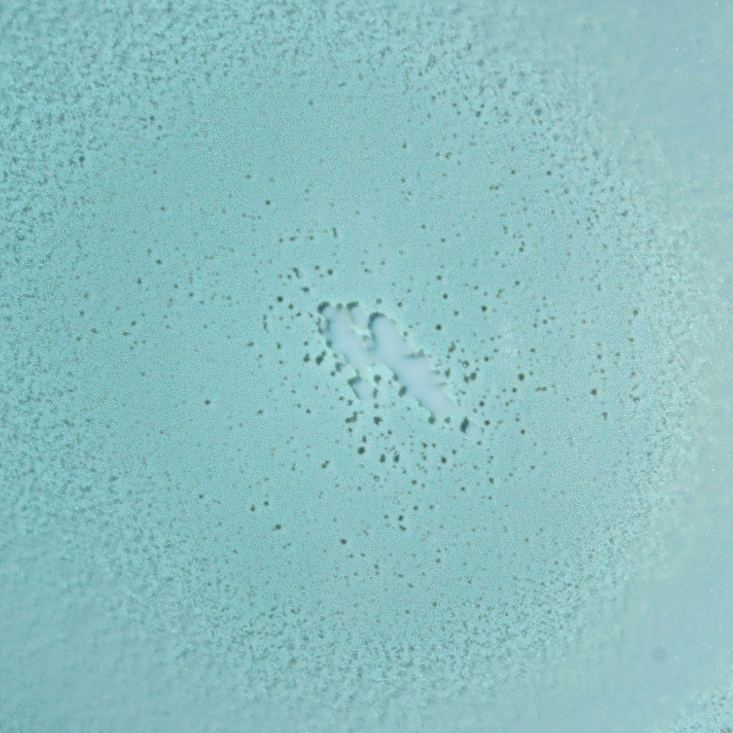 SPF 30 Mineral Fragrance-Free Non-Aerosol Spray