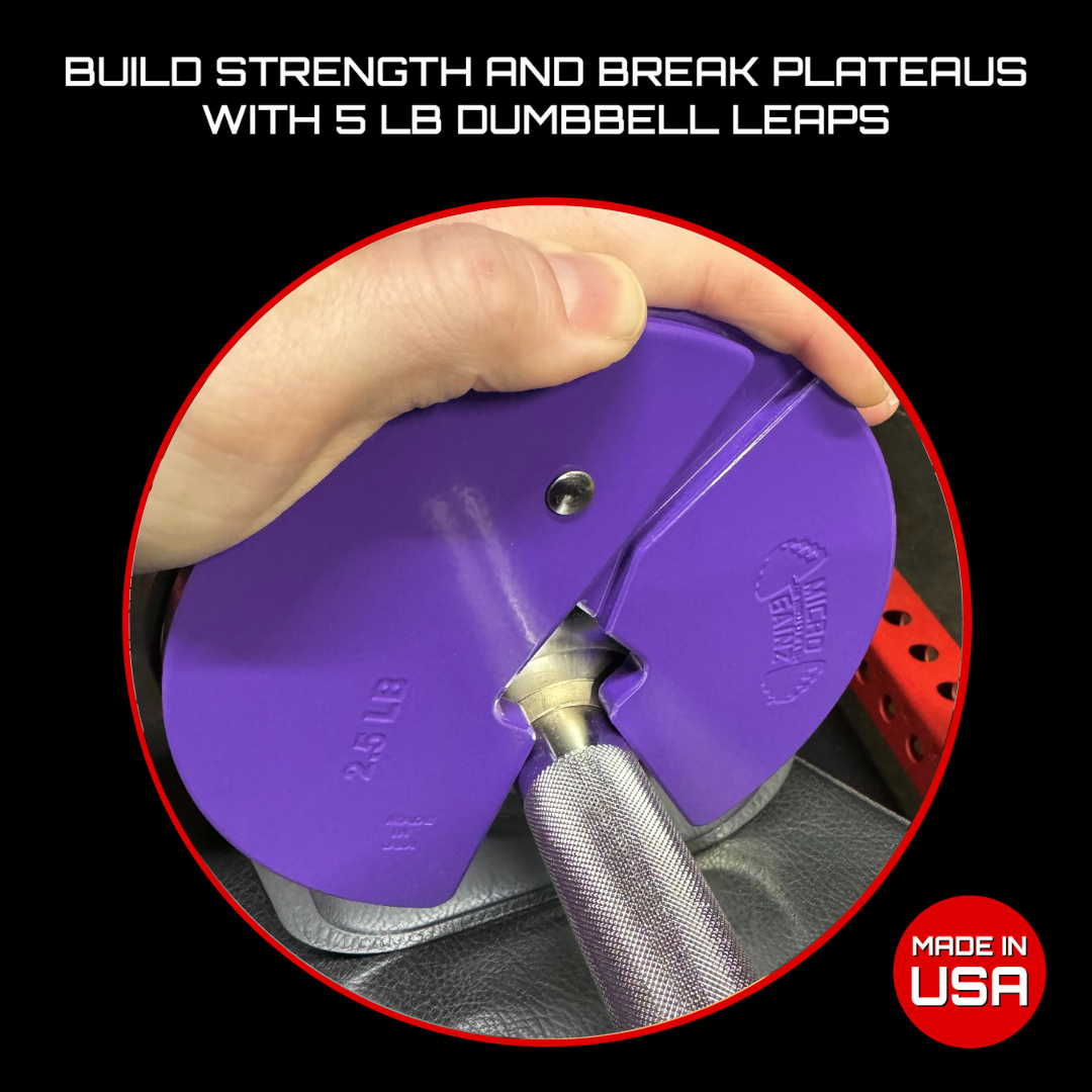 Micro Gainz Purple 2.5LB Dumbbell Fractional Weight Plates - The Track and Field Store