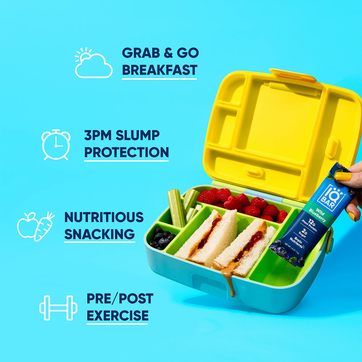 Wild Blueberry (12 Bars) - IQ Bar - The Track and Field Store