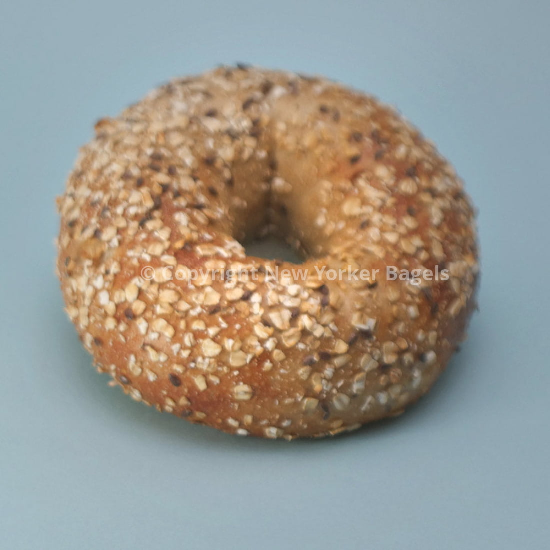 Quinoa Multigrain Bagels