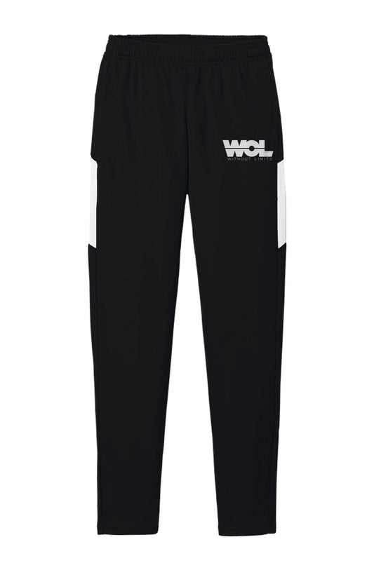Men's Travel Pants - Without Limits