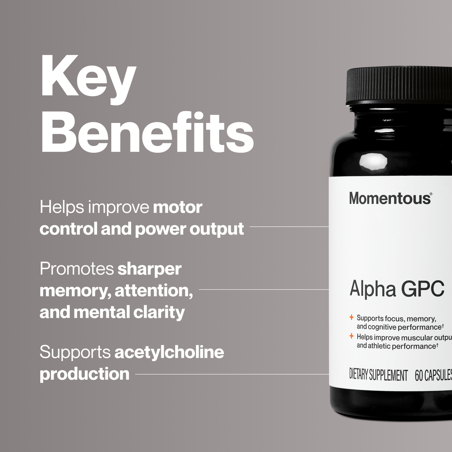 Alpha GPC