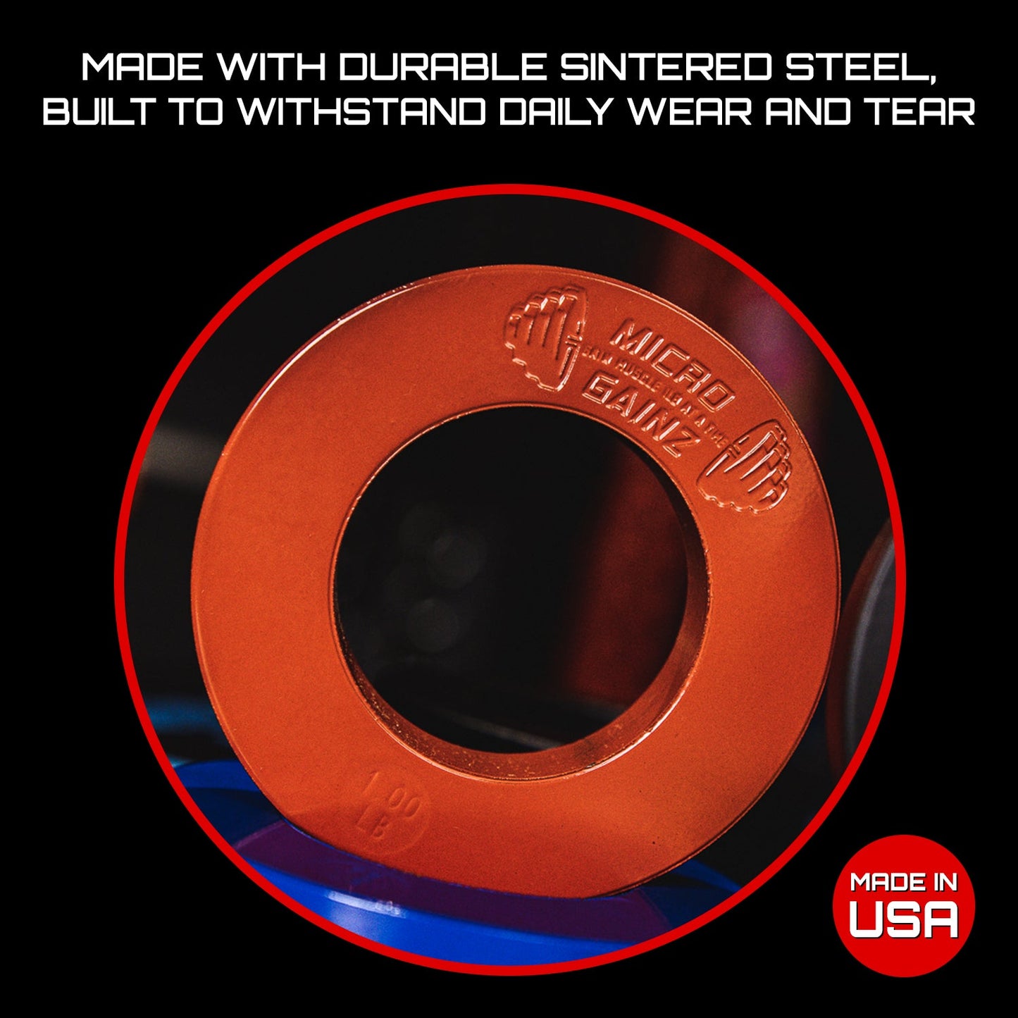 Micro Gainz Olympic Size Fractional Weight Plates Pair of 1LB Plates