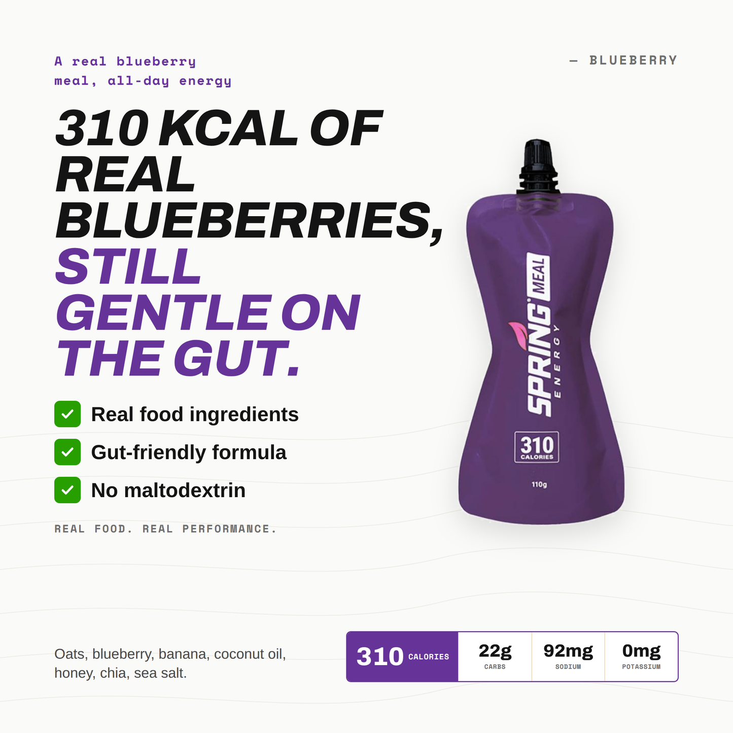 Blueberry Endurance Meal (Vegan) 310 Kcal