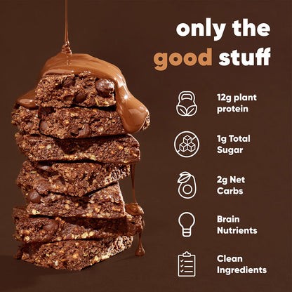 Chocolate Sea Salt (12 Bars) - IQ Bar - The Track and Field Store