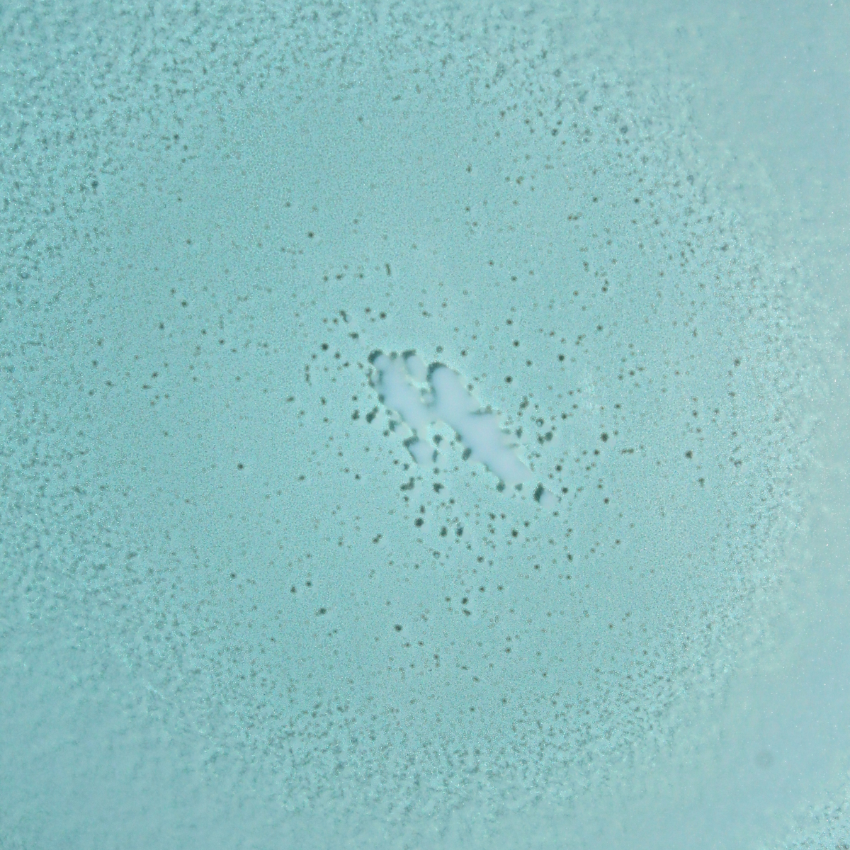 Mineral Fragrance-Free Non-Aerosol Spray