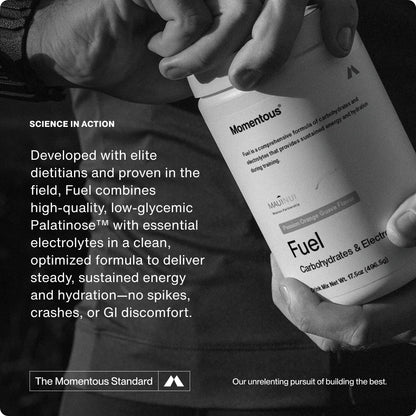 Fuel - Momentous