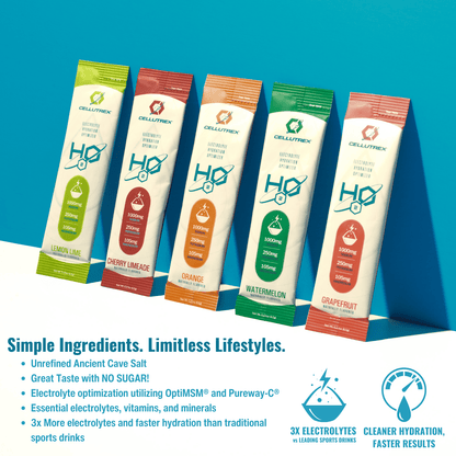 H2O ELECTROLYTES™ - Family Hydration Pack (100 Count Variety) | Zero Sugar Electrolyte Powder - The Track and Field Store