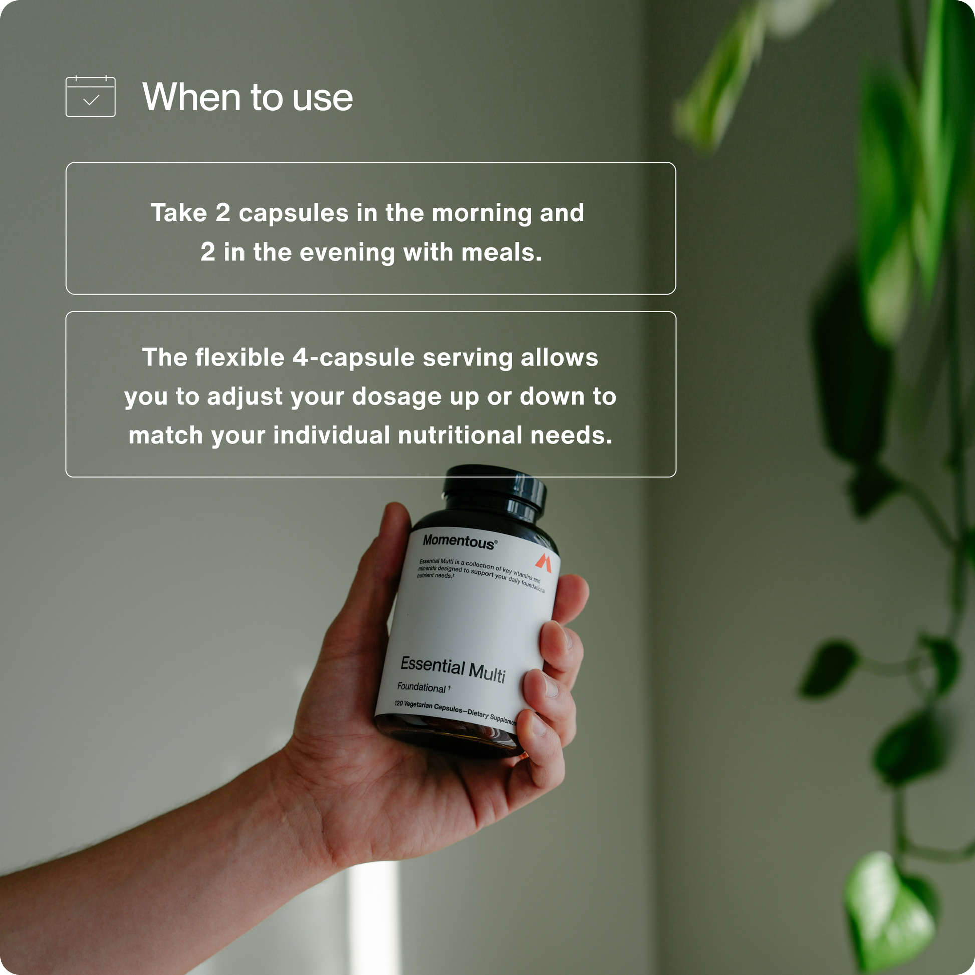 Multivitamin - Momentous - The Track and Field Store