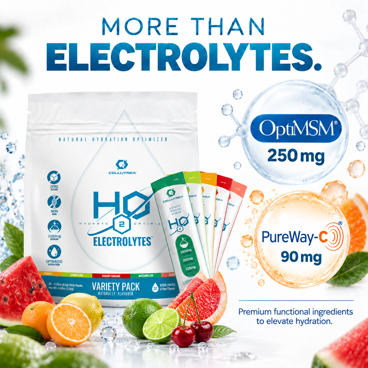 H2O ELECTROLYTES™ - Family Hydration Pack (100 Count Variety) | Zero Sugar Electrolyte Powder