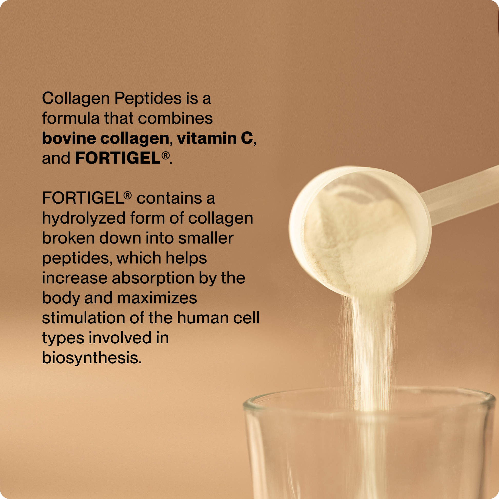 Collagen Peptides - Momentous - The Track and Field Store