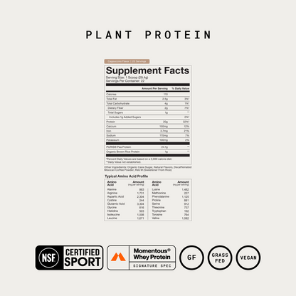 100% Plant Protein Powder