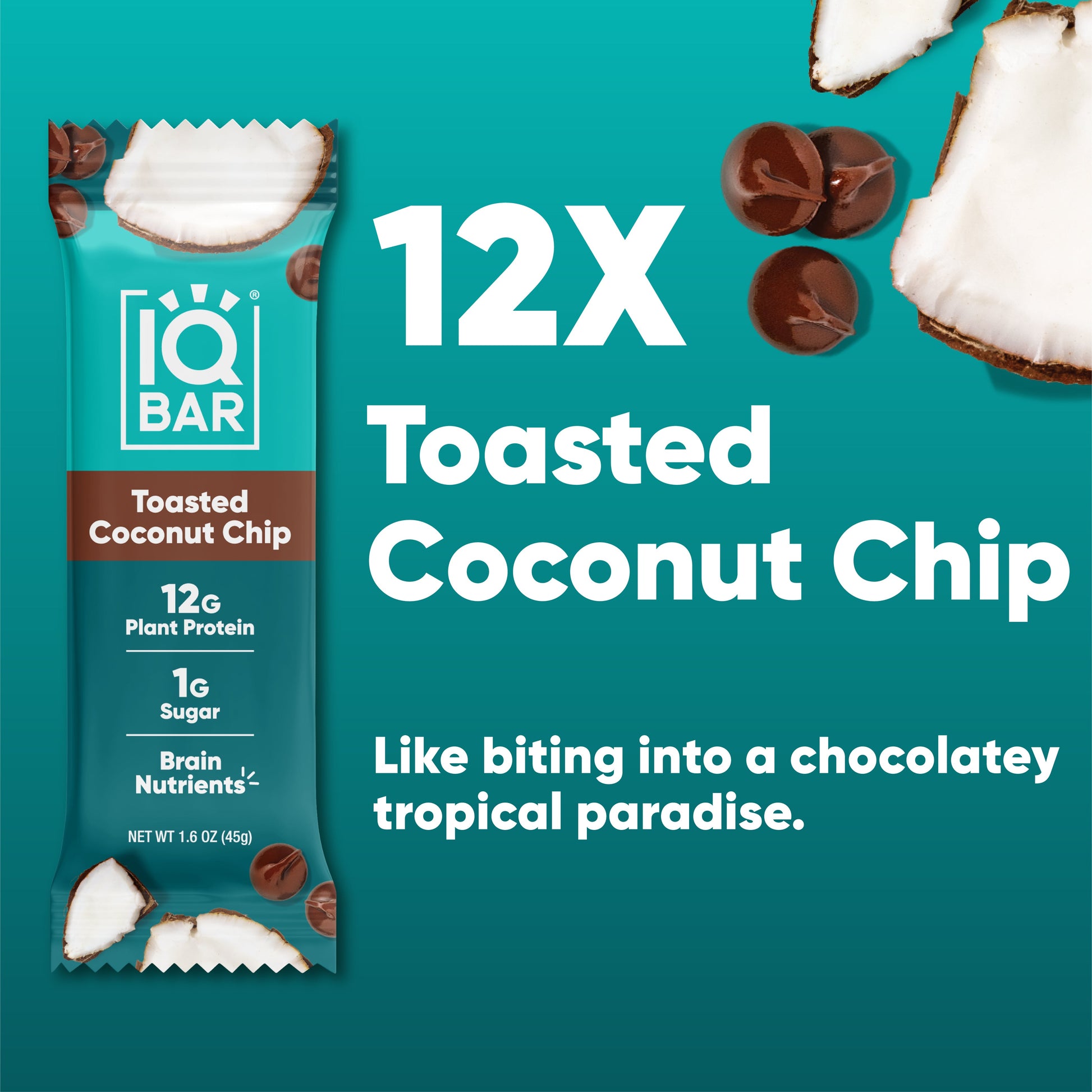 Toasted Coconut Chip (12 Bars) - IQ Bar - The Track and Field Store