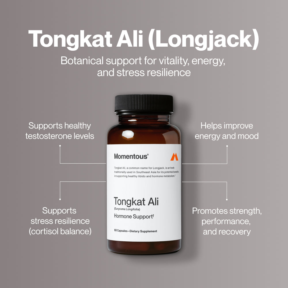 Tongkat Ali