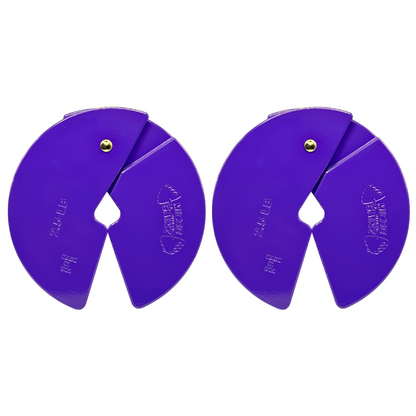 Micro Gainz 2.5LB Dumbbell Fractional Weight Plate