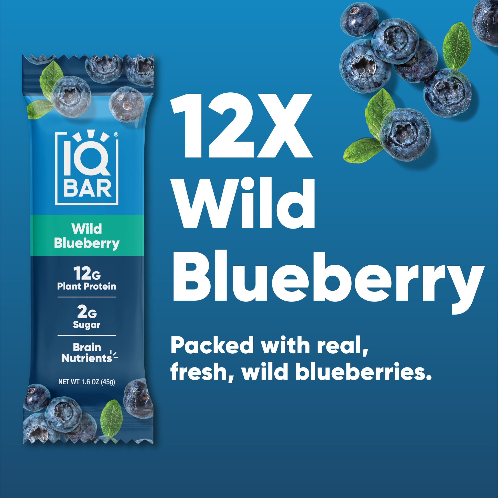 Wild Blueberry (12 Bars) - IQ Bar - The Track and Field Store