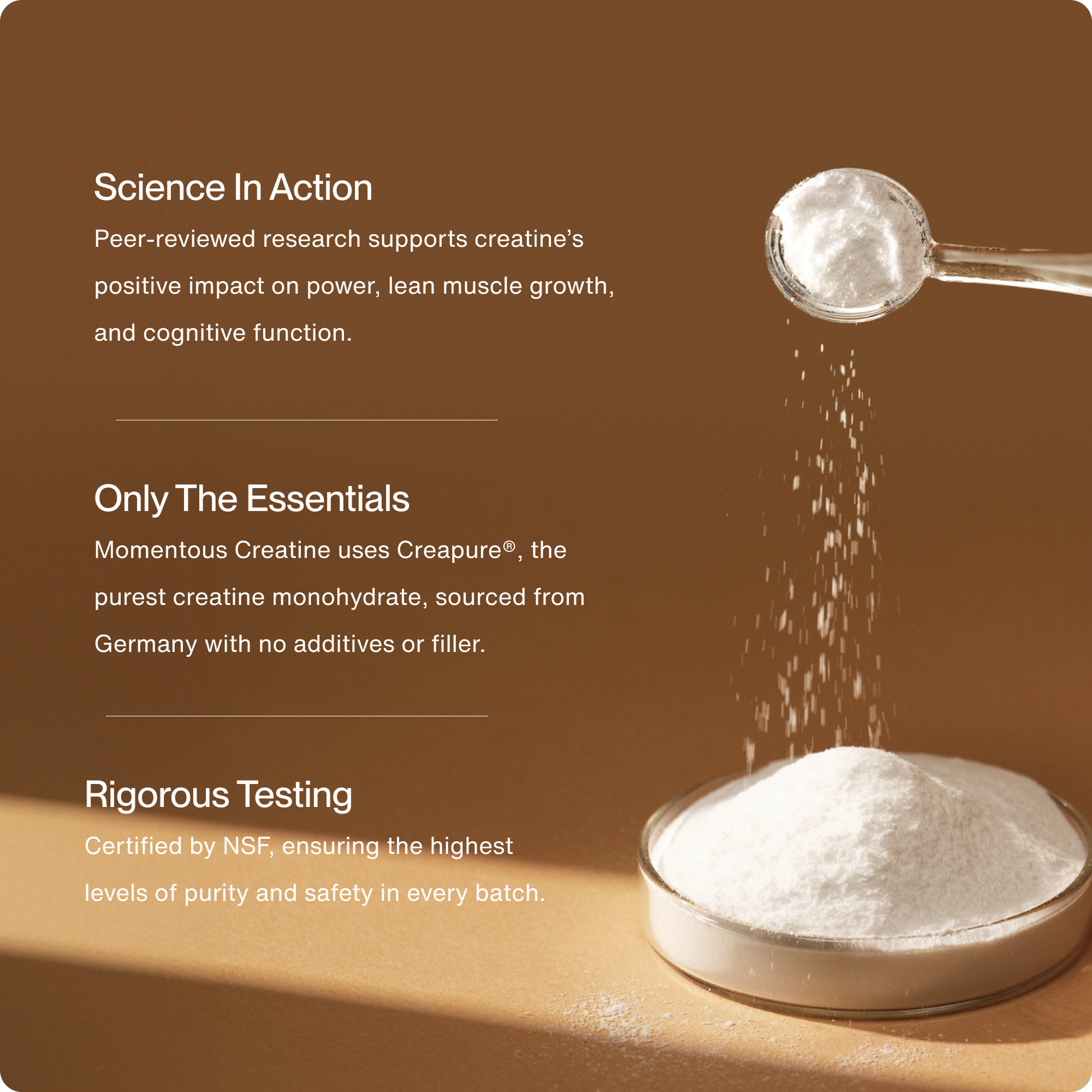 Creatine - Momentous - The Track and Field Store