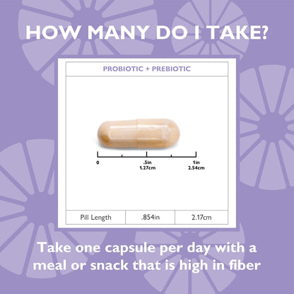 Celebrate® Balance Probiotic + Prebiotic - Celebrate Vitamins Celebrate Vitamins