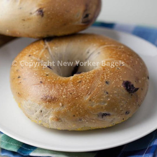 Blueberry Bagels