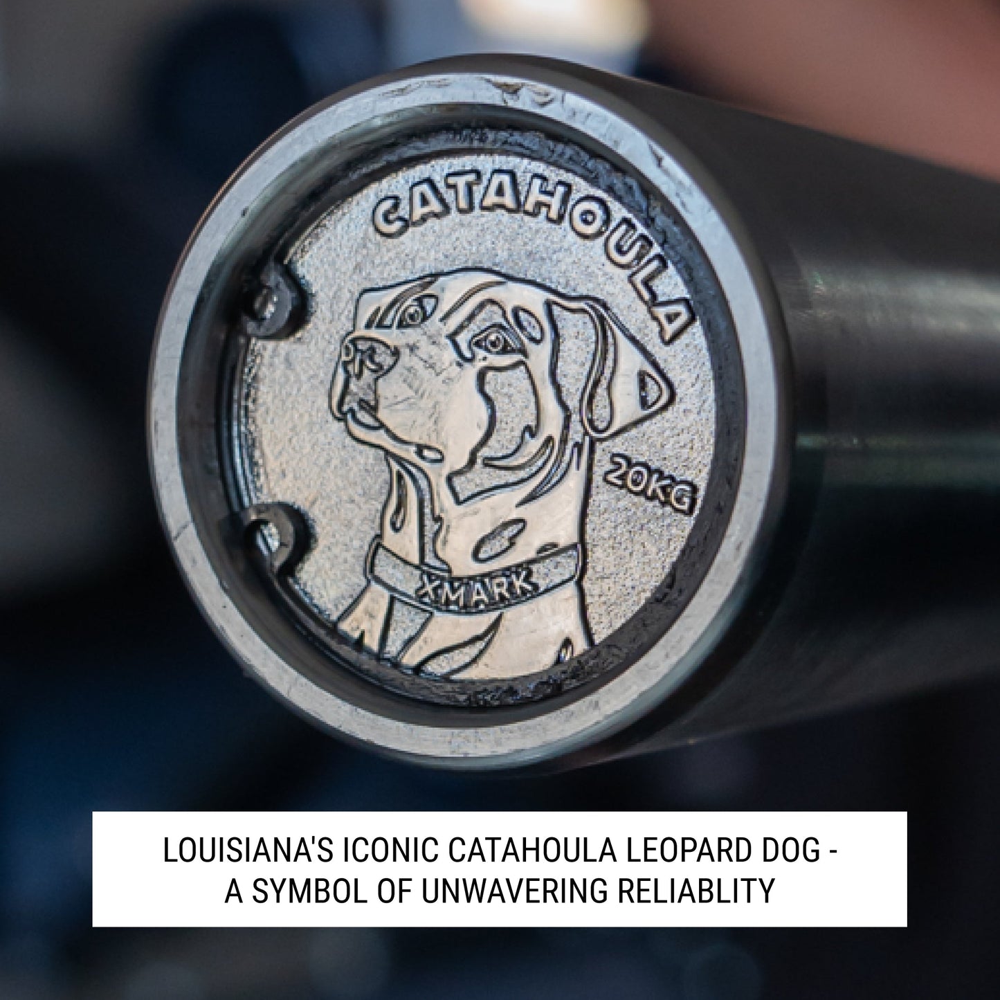 Catahoula IWF Men’s Training Bar, 20kg