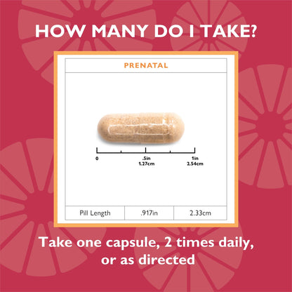 Bariatric Prenatal Vitamin Capsules - Celebrate Vitamins Celebrate Vitamins