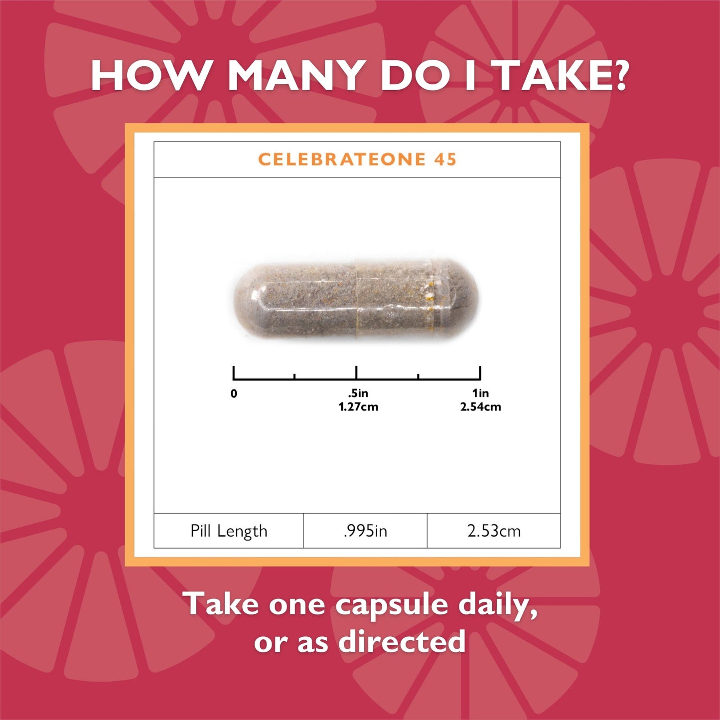 CelebrateONE 45 Once Daily Bariatric Multivitamin with Iron Capsules - Celebrate Vitamins Celebrate Vitamins