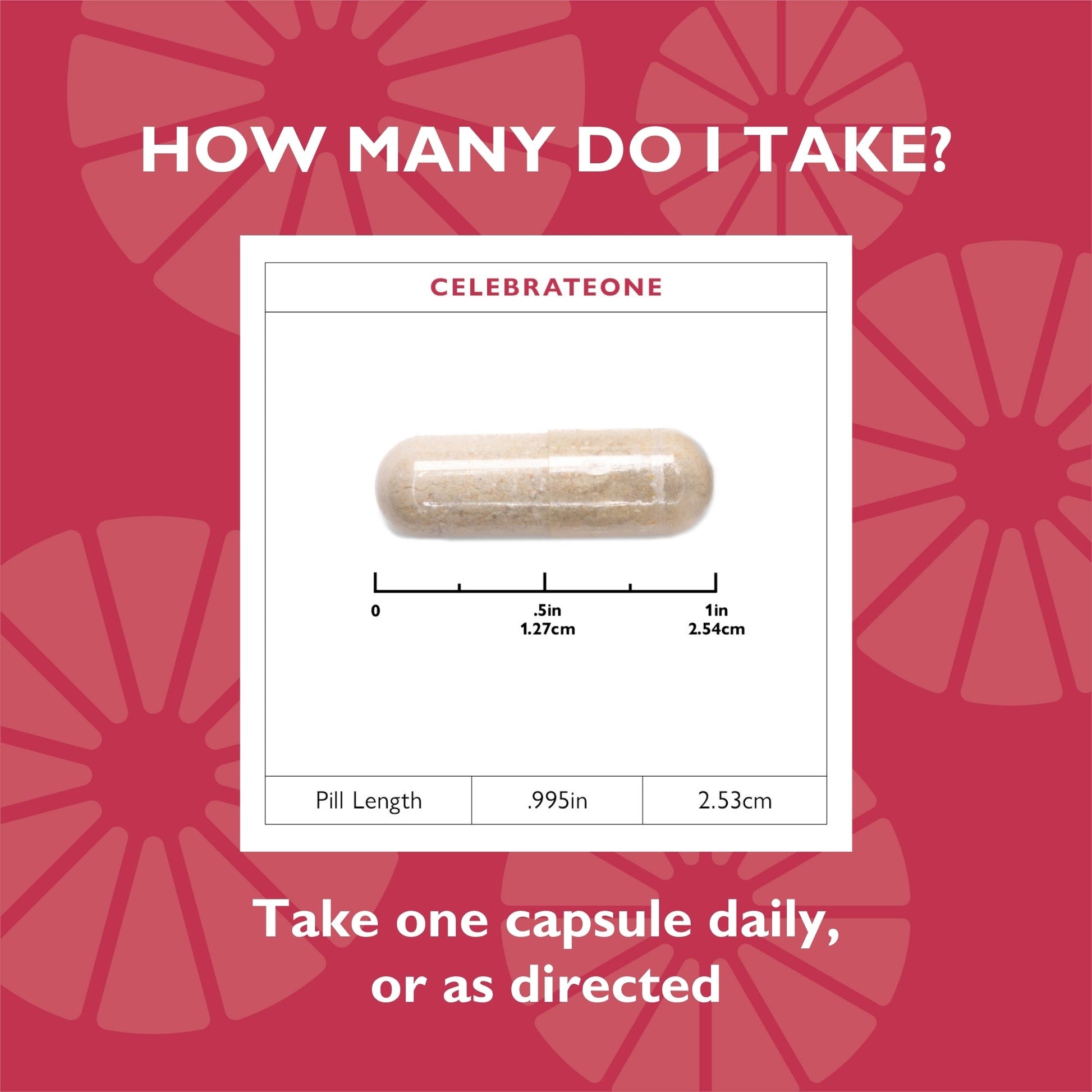 CelebrateONE Bariatric One A Day Multivitamin Capsules, Iron Free - Celebrate Vitamins Celebrate Vitamins