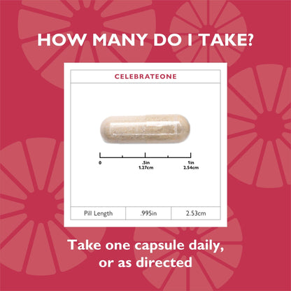CelebrateONE Bariatric One A Day Multivitamin Capsules, Iron Free - Celebrate Vitamins Celebrate Vitamins