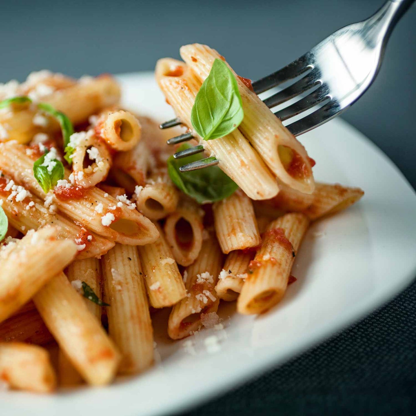 Penne Protein Pasta - 19g Protein & 4g Net Carb, Lupin Pasta, Keto Pasta, Gluten Free, 8 oz. - Wholesome Provisions
