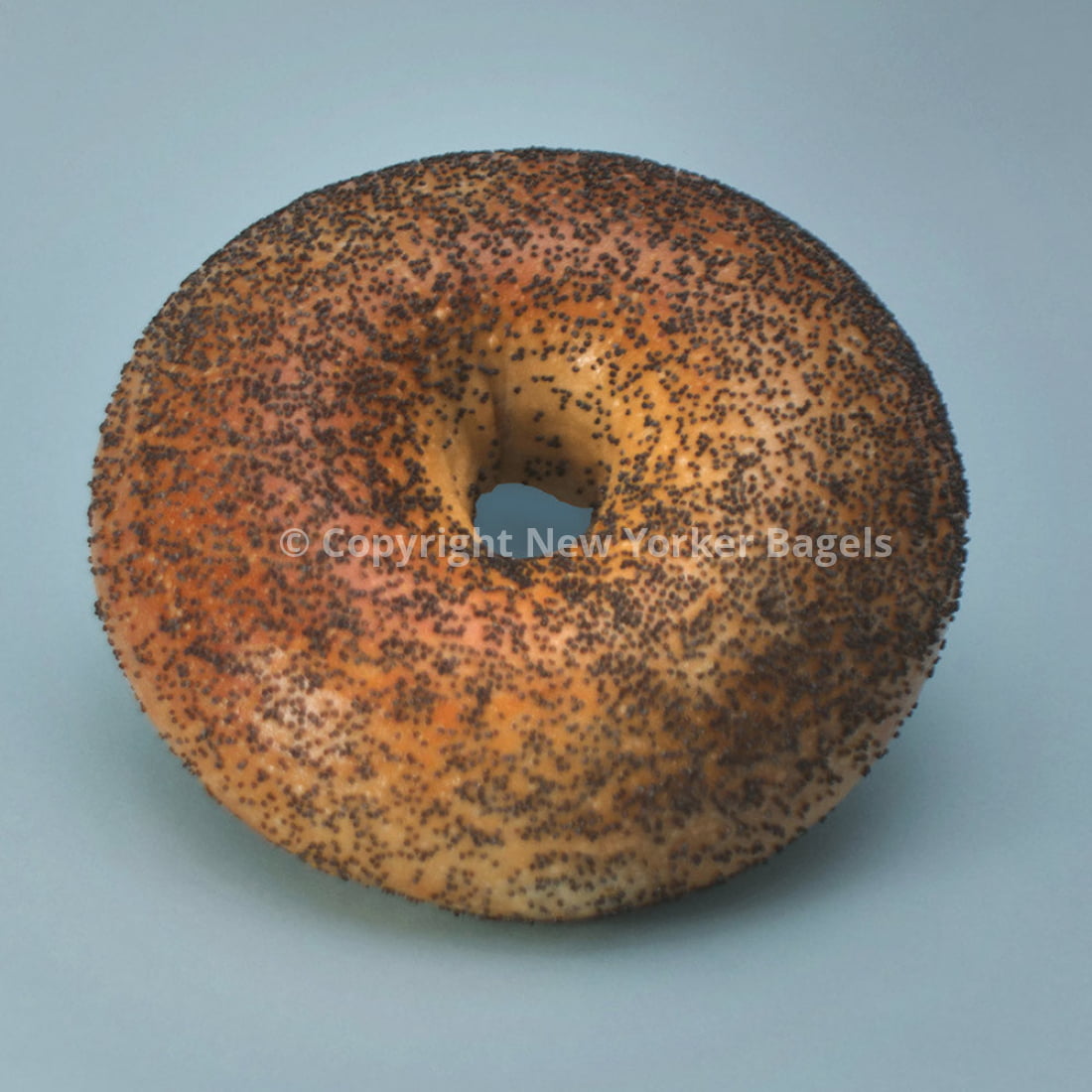 Poppy Bagels