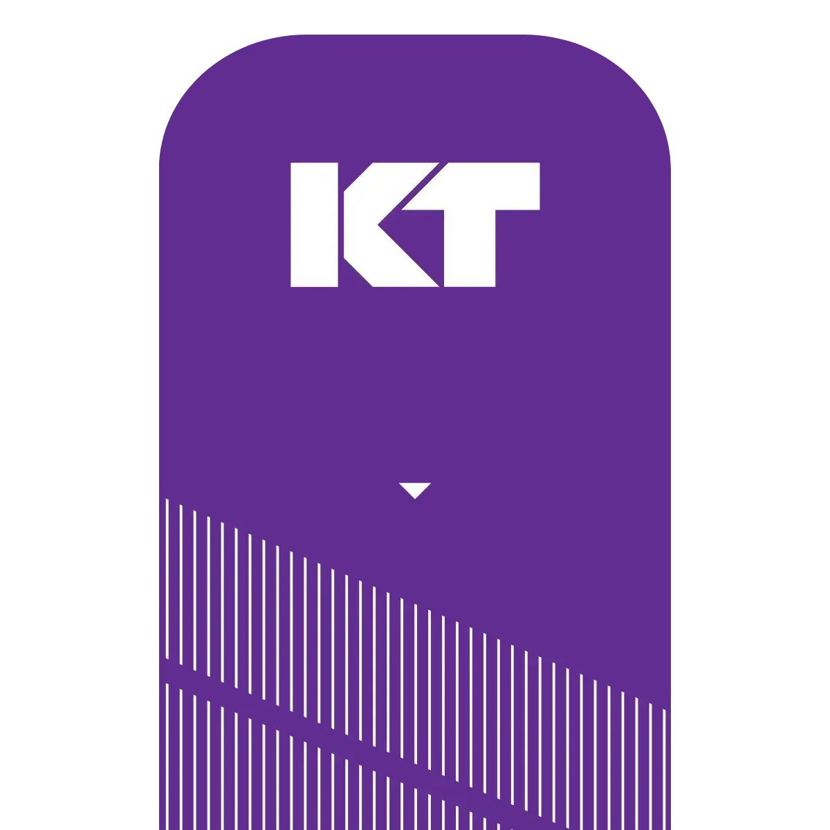 KT Tape Pro® Synthetic Kinesiology Tape – Precut Strips