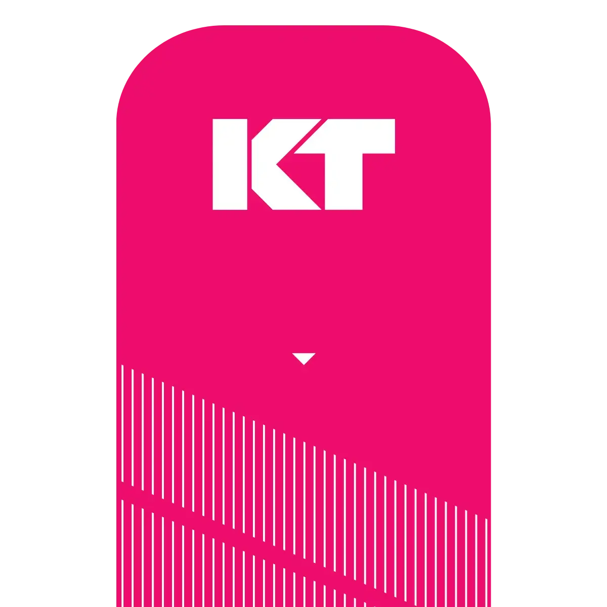 KT Tape Pro® Synthetic Kinesiology Tape – Precut Strips