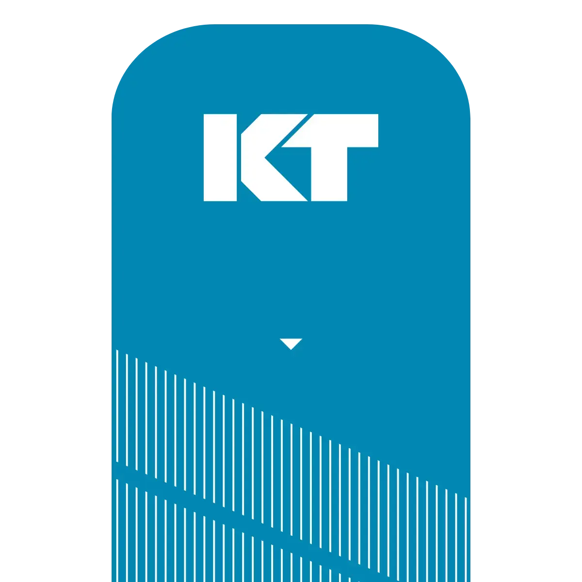 KT Tape Pro® Synthetic Kinesiology Tape – Precut Strips