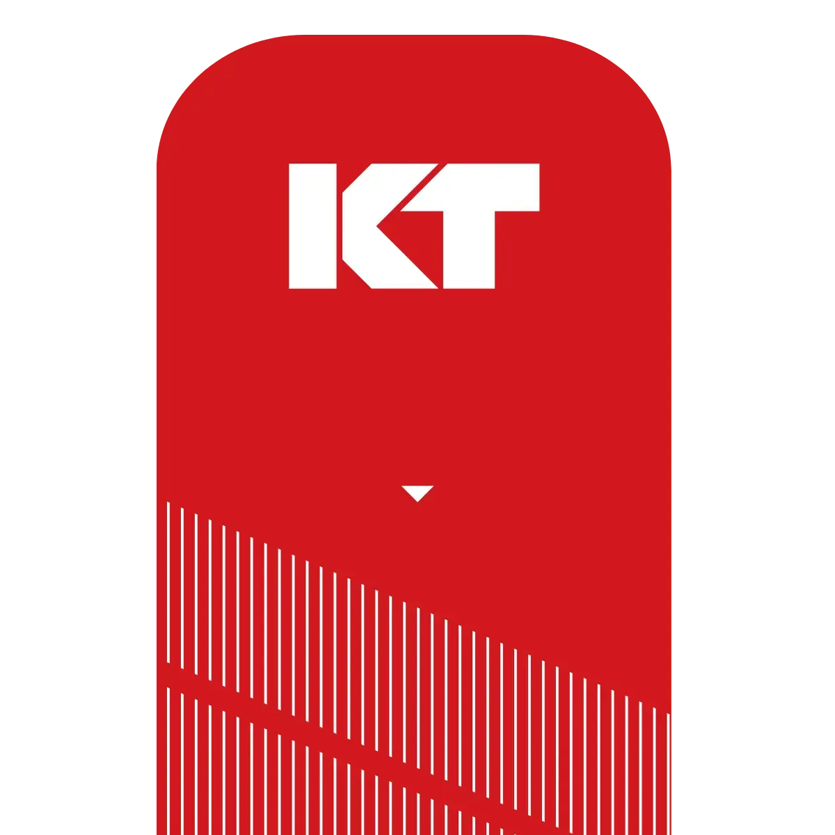 KT Tape Pro® Synthetic Kinesiology Tape – Precut Strips