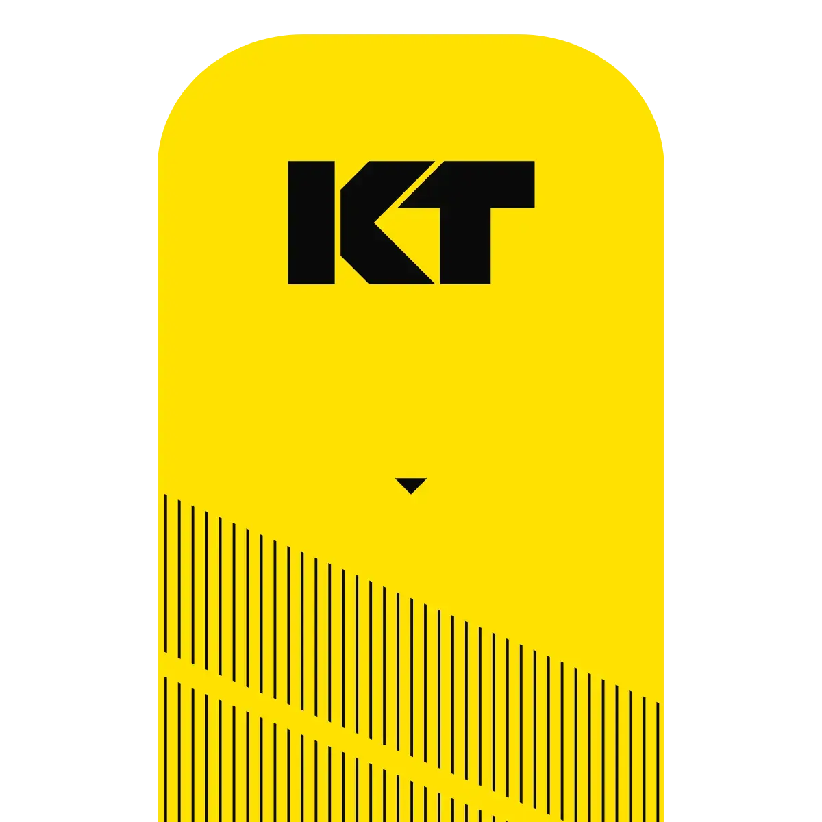 KT Tape Pro® Synthetic Kinesiology Tape – Precut Strips