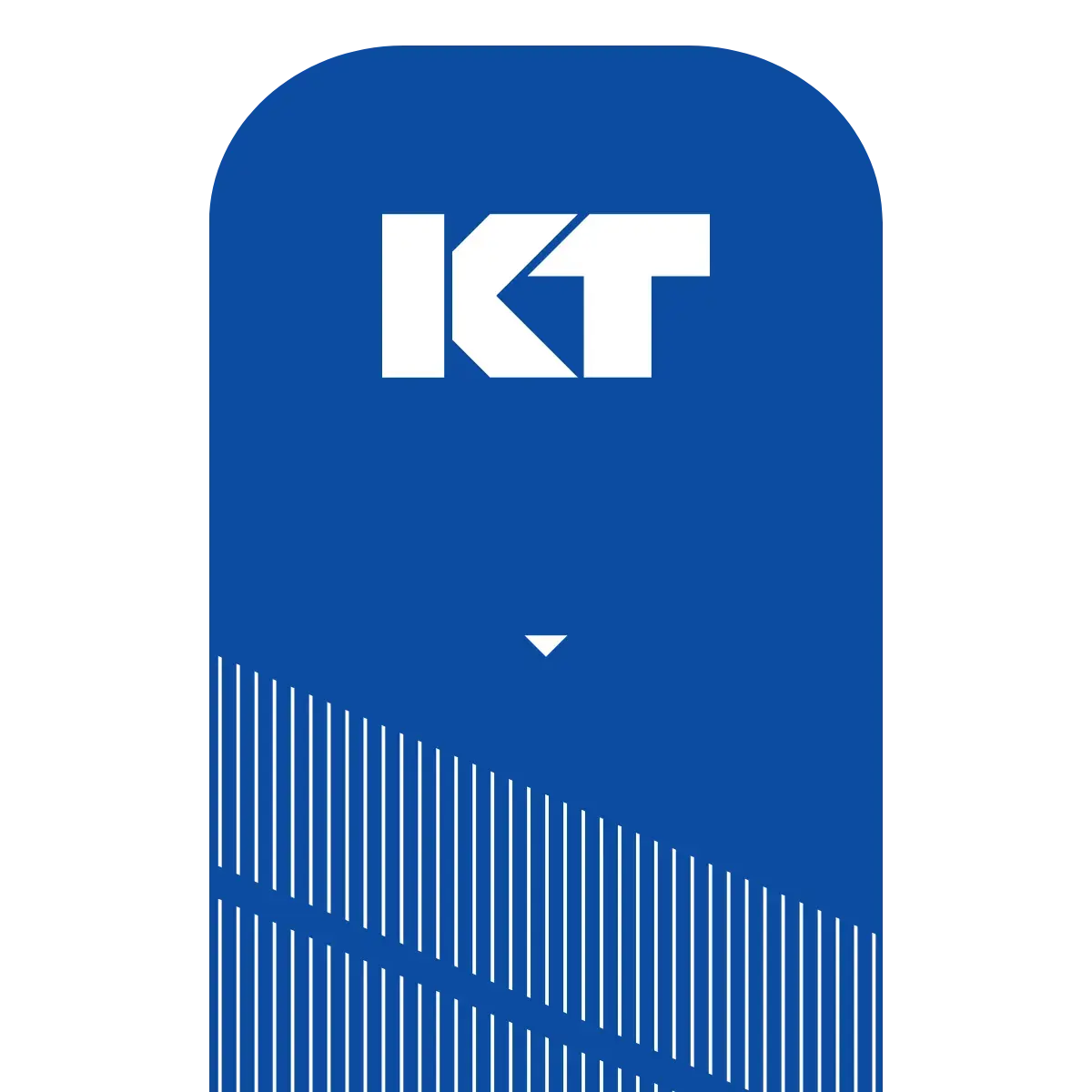 KT Tape Pro® Synthetic Kinesiology Tape – Precut Strips