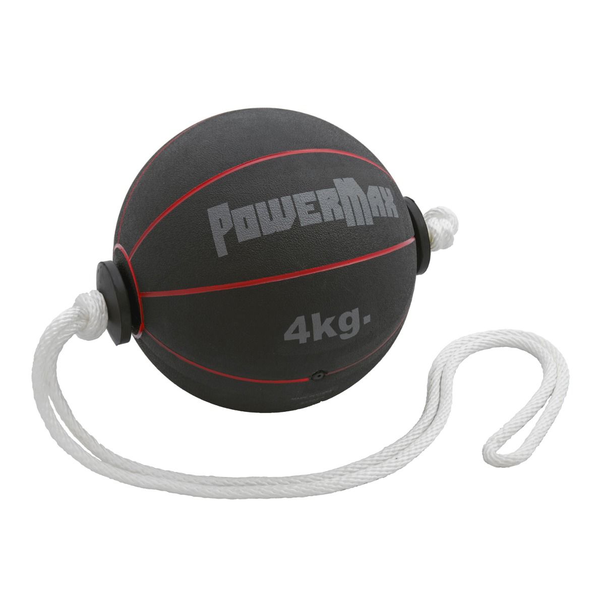 Powermax Swinging Med Balls