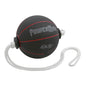 Powermax Swinging Med Balls