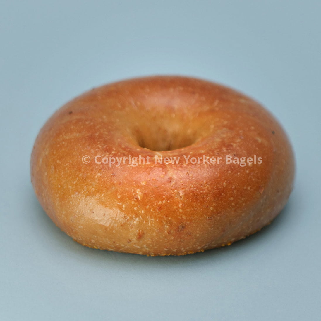 Whole Wheat Bagels