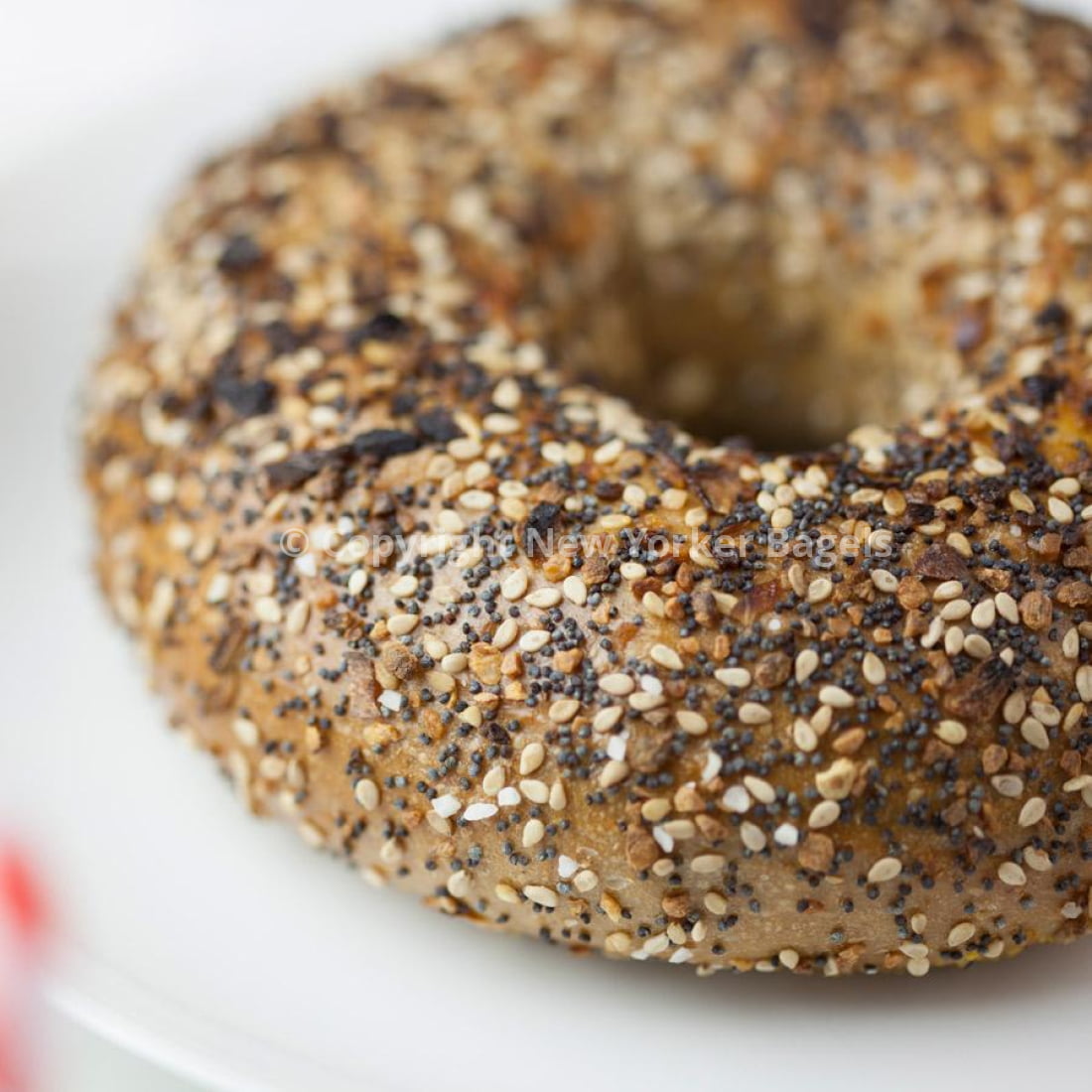 Whole Wheat Everything Bagel - 2 Dozen